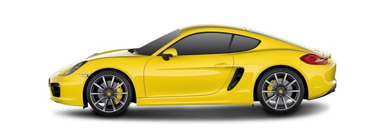 PORSCHE_CAYMAN_(981)